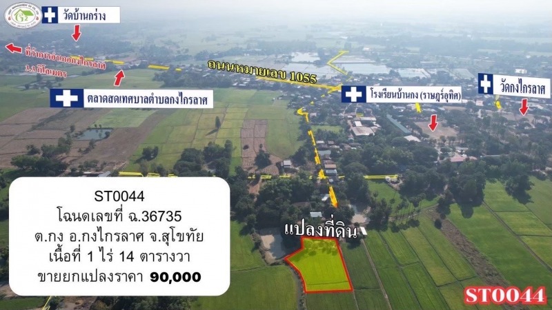 Image - 2025-07-12T141234.618